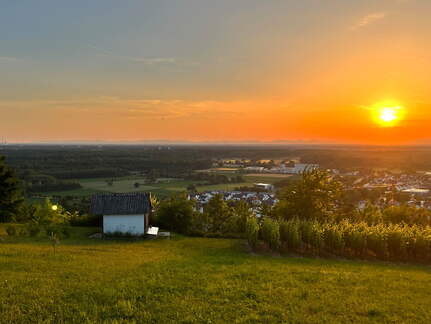 22-06-15 21-04-50 1108